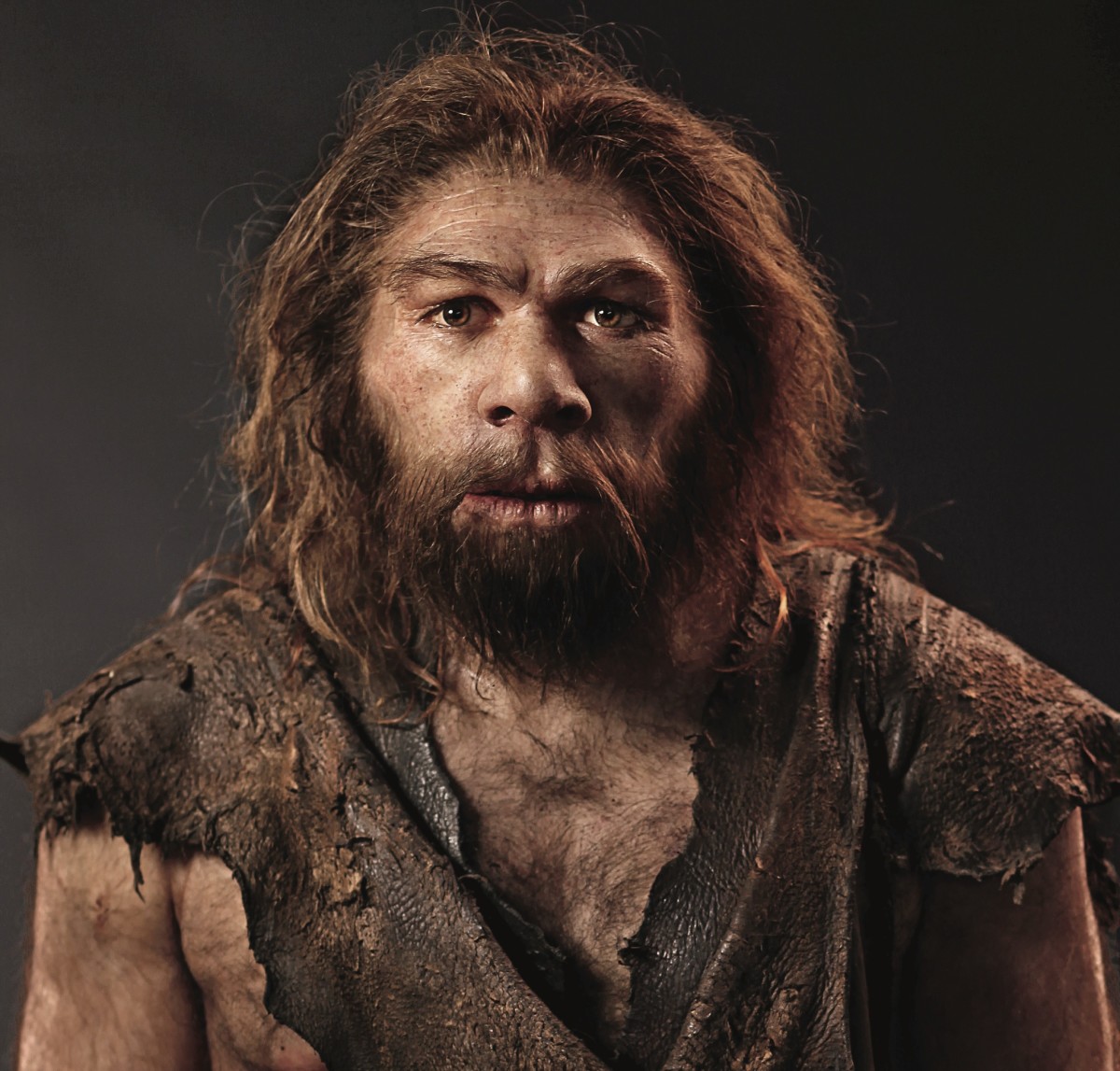 El extraño hombre de Neandertal